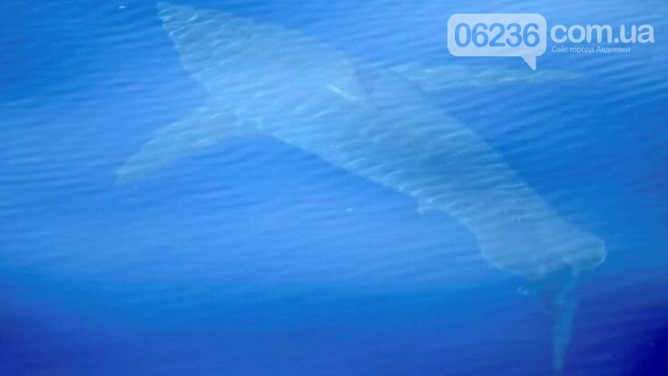  ��������� ������� ������� ������������� ������� ����� ����� 