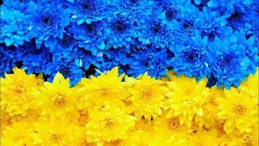 ����: 06236.com.ua