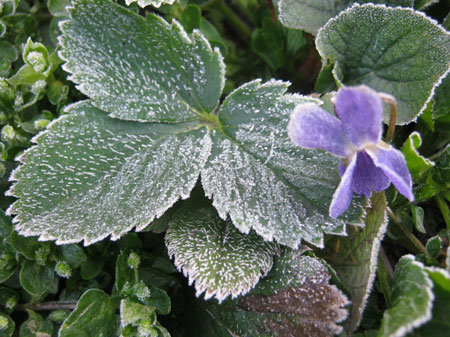 �� ��������� ���������, ����������� ��������� ��  0� , -���������