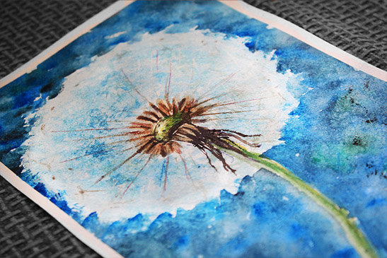 ����: 06236.com.ua