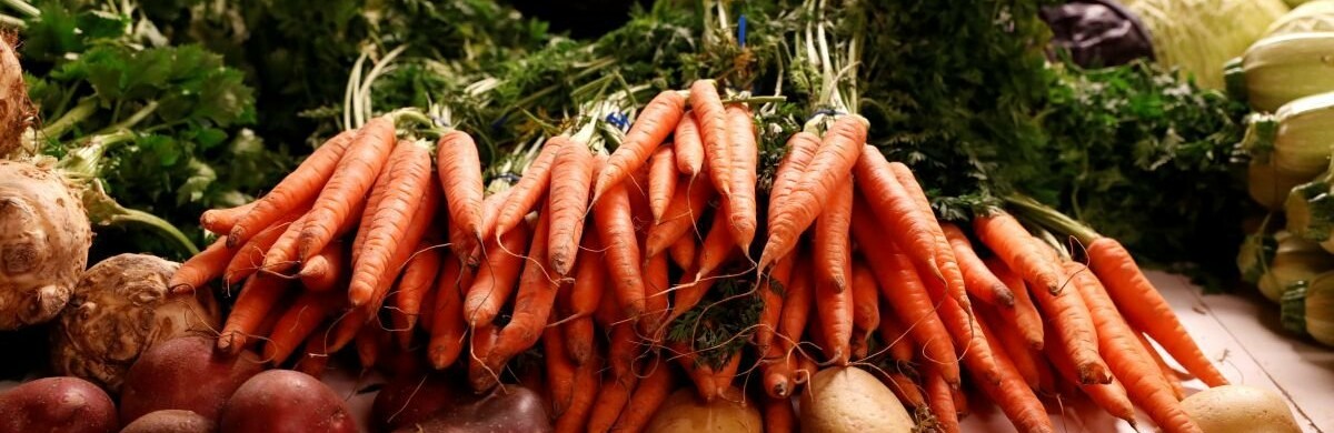  ���� ������ �������� ����� ���� ����� ������ ������� 