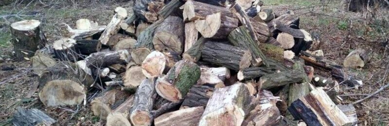  ��� ������ �������� ��������� ������� 