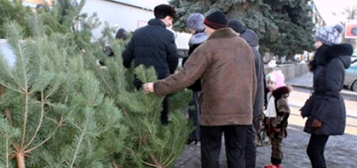 ����: 06236.com.ua