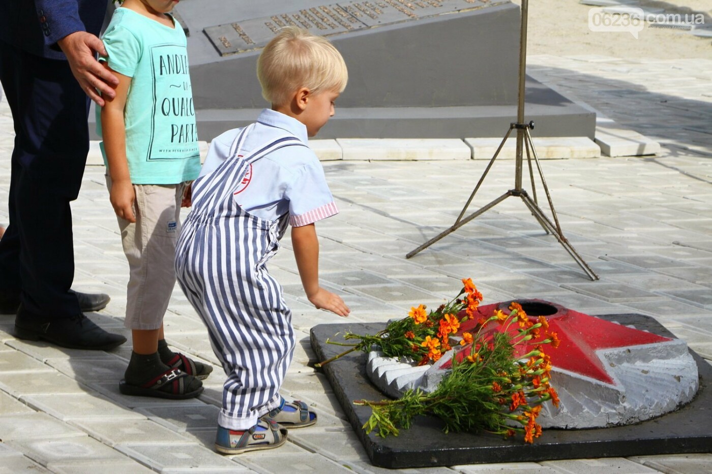 Как прошла 75-я годовщина освобождения Донбасса в регионе:..., фото-11 Как прошла 75-я годовщина освобождения Донбасса в регионе: фото, фото-11