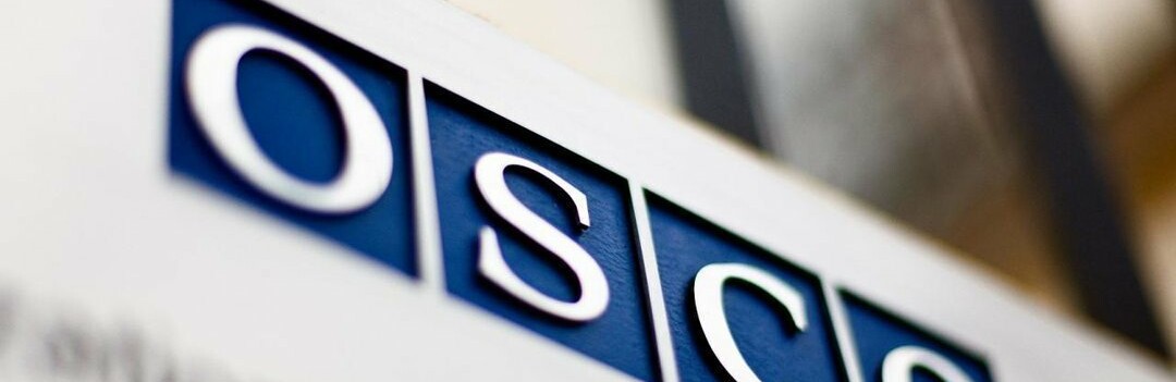 Голова ДонОДА запевнив керівництво ОБСЄ в готовності до співпраці