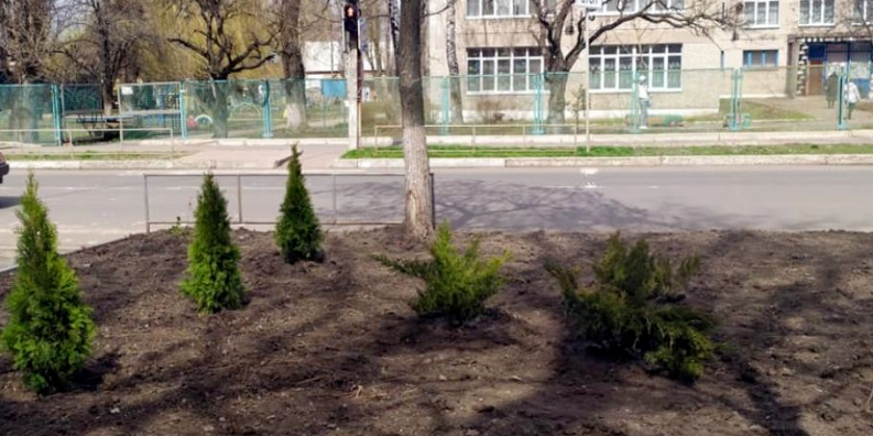 В Авдіївці комунальники озеленяють центральну вулицю міста